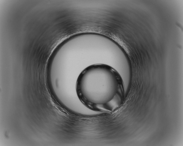 X0000097970580200804141054