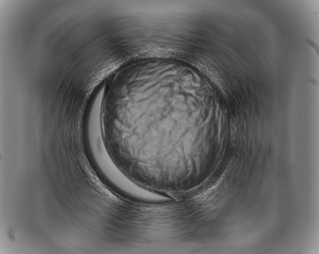 X0000097970581200804141054