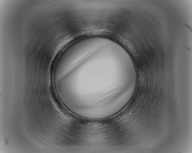 X0000097970582200804141054