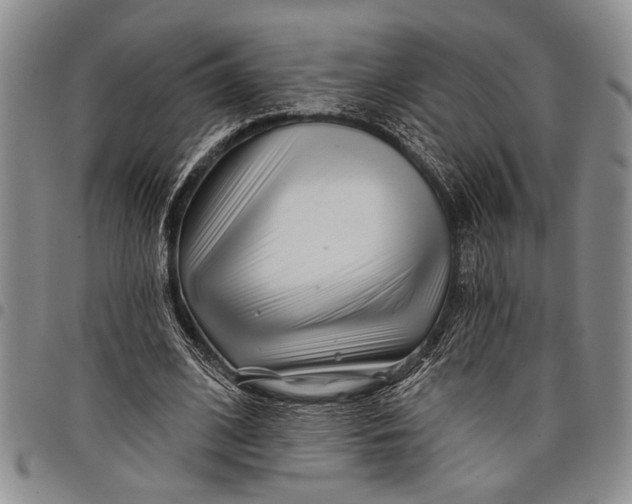 X0000097970584200804141054