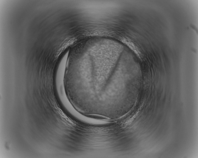 X0000097970585200804141054