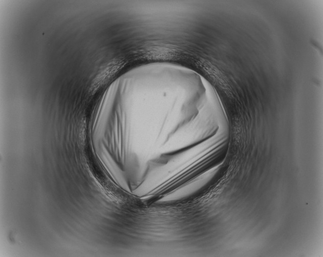 X0000097970586200804141054