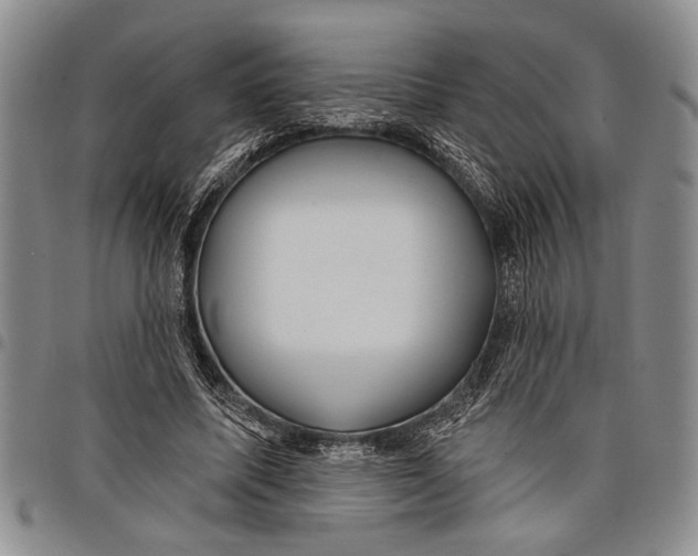 X0000097970587200804141054