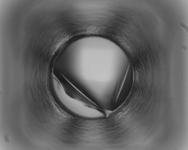 X0000097970588200804141054