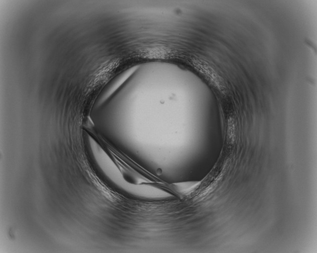 X0000097970589200804141054