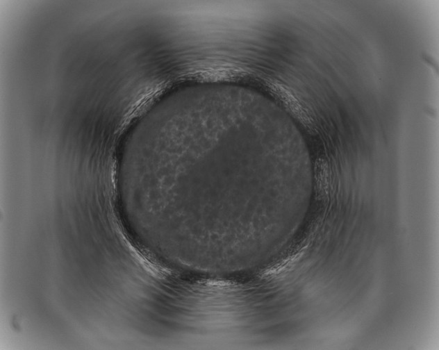 X0000097970590200804141054