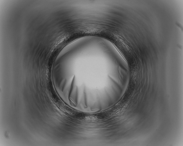 X0000097970591200804141054