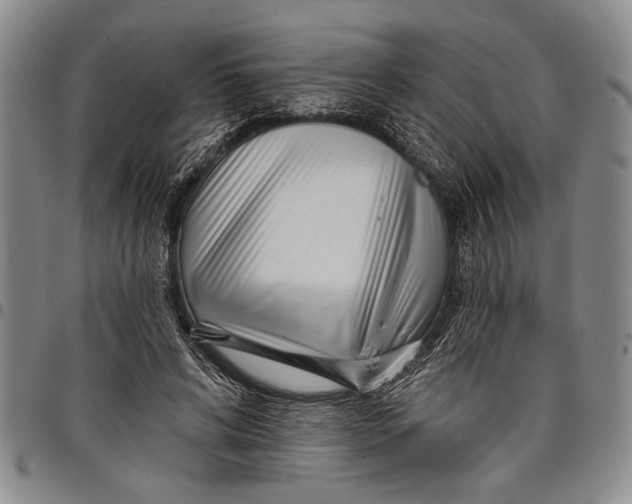 X0000097970592200804141054