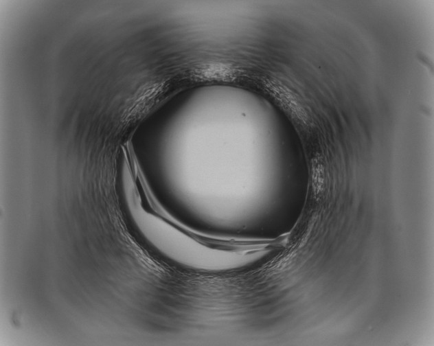 X0000097970593200804141054