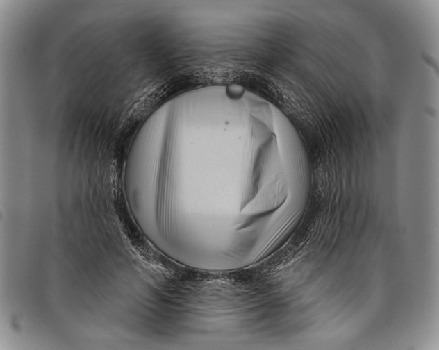 X0000097970594200804141054