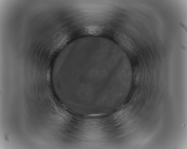 X0000097970595200804141054