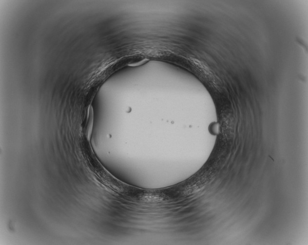 X0000097970596200804141054