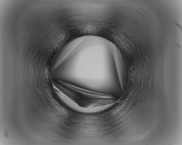 X0000097970597200804141054