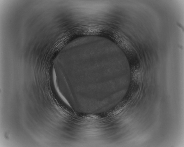 X0000097970599200804141054