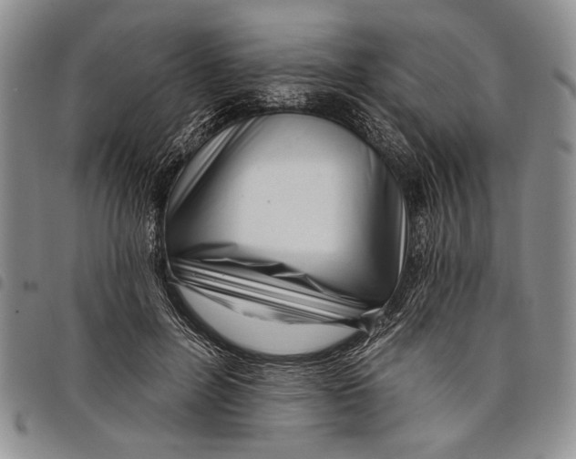 X0000097970600200804141054