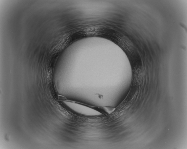 X0000097970601200804141054