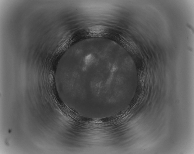 X0000097970603200804141054