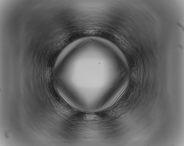 X0000097970605200804141054