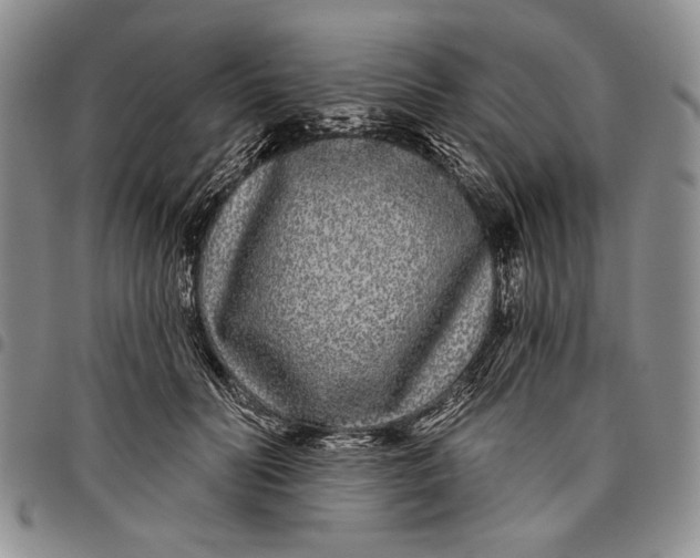 X0000097970606200804141054