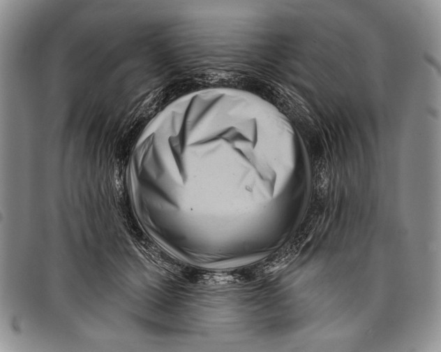 X0000097970607200804141054