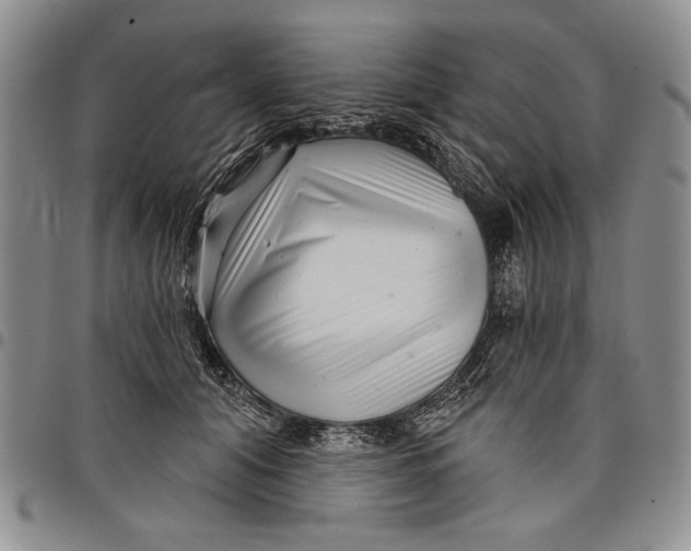 X0000097970608200804141054