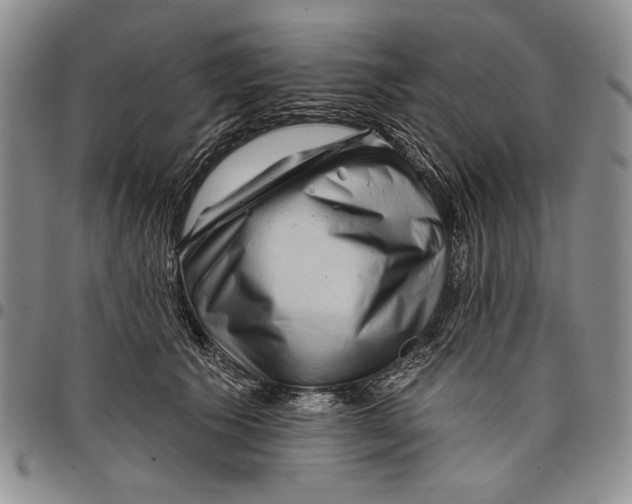 X0000097970609200804141054
