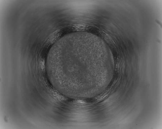 X0000097970610200804141054