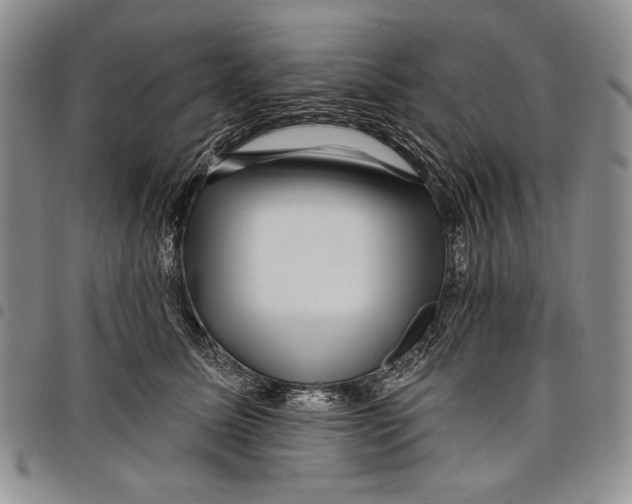 X0000097970611200804141054