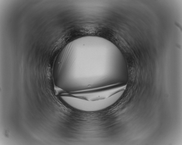 X0000097970612200804141054