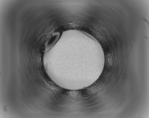 X0000097970615200804141054
