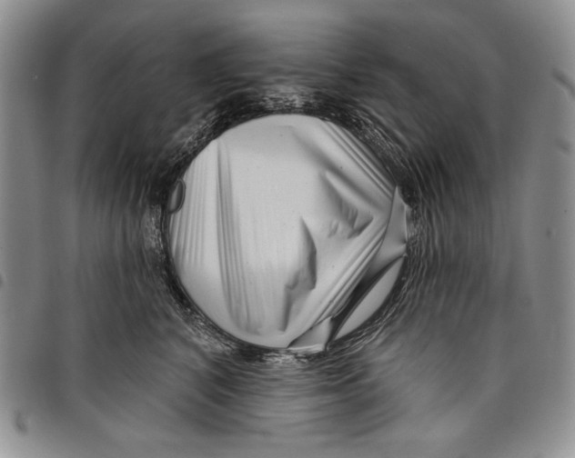 X0000097970616200804141054