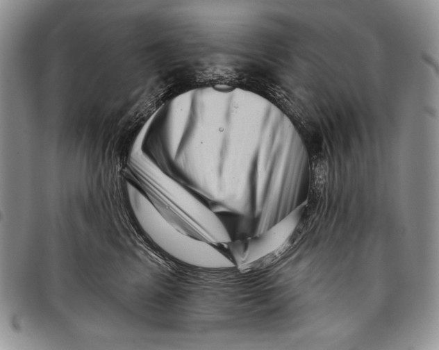 X0000097970617200804141054