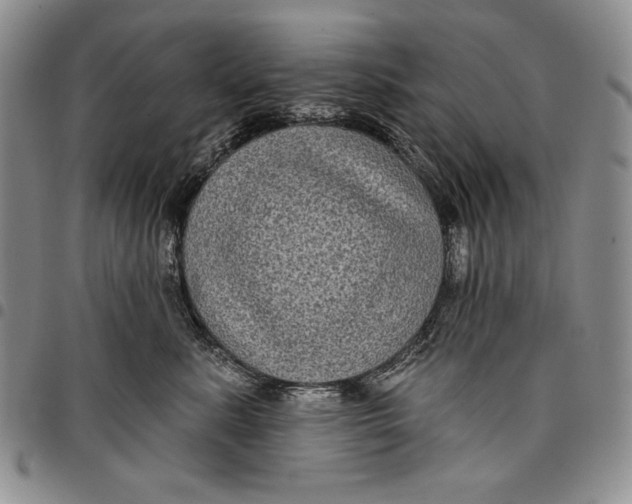 X0000097970619200804141054