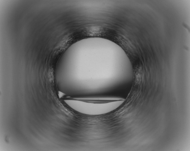 X0000097970620200804141054