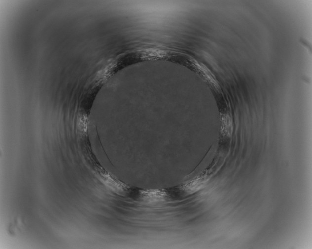 X0000097970621200804141054