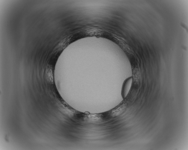 X0000097970622200804141054