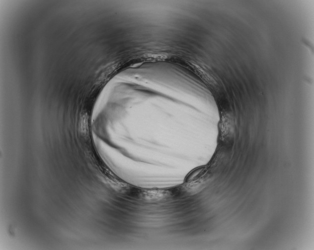 X0000097970623200804141054