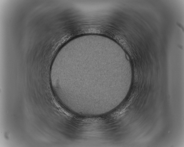 X0000097970625200804141053