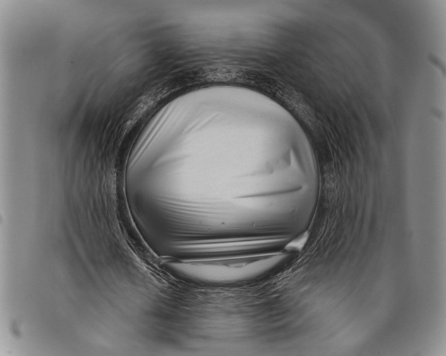 X0000097970626200804141053
