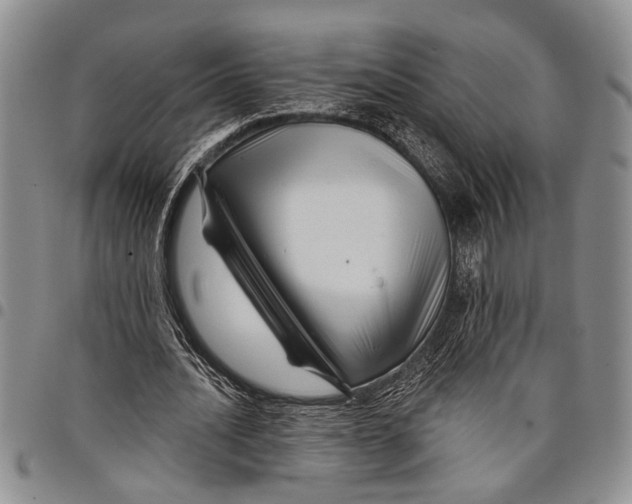 X0000097970628200804141053