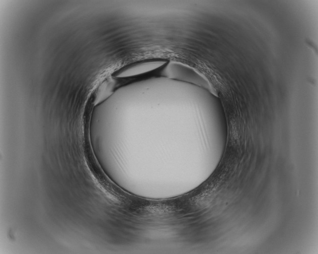 X0000097970630200804141053