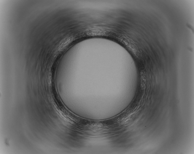 X0000097970631200804141053
