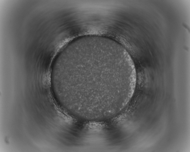 X0000097970632200804141053
