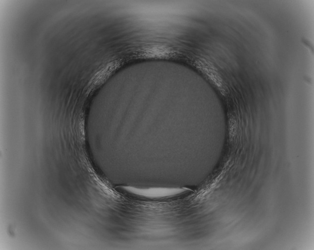 X0000097970633200804141053