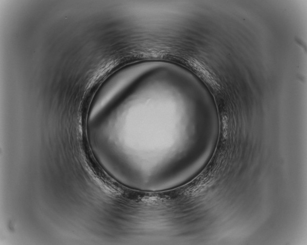 X0000097970634200804141053