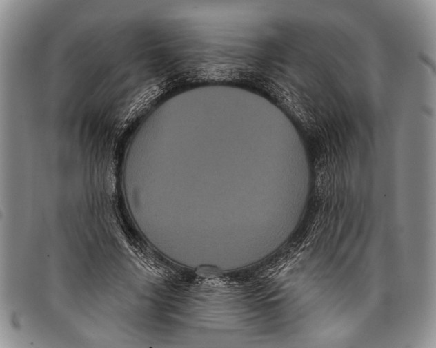 X0000097970635200804141053