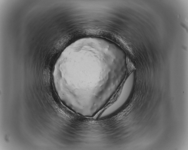 X0000097970637200804141053