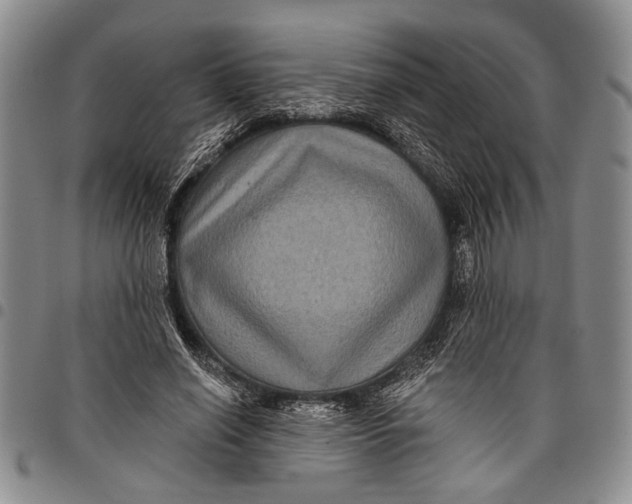 X0000097970638200804141053