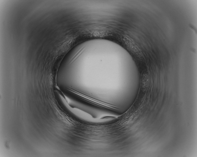 X0000097970639200804141053