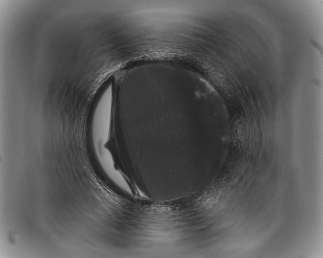 X0000097970640200804141053